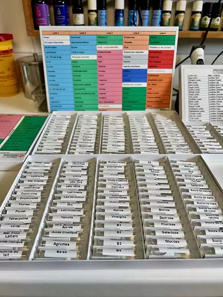 la méthode total reset (trm), une nouvelle approche pour soigner les allergies des animaux