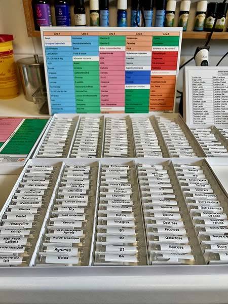 la méthode total reset (trm), une nouvelle approche pour soigner les allergies des animaux
